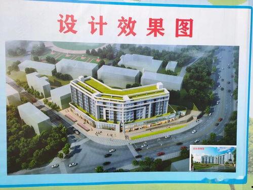 广元校园新爆料最新消息,揭秘校园热点事件背后的真相  第1张 广元校园新爆料最新消息,揭秘校园热点事件背后的真相  第1张