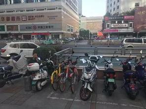 1007新闻爆料热线,聚焦民生,倾听民意  第2张 1007新闻爆料热线,聚焦民生,倾听民意  第2张
